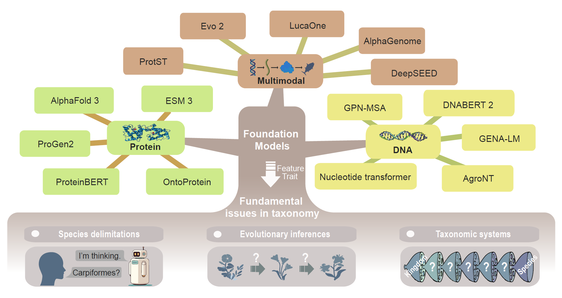 水生所發表綜述文章探討AI驅動的生物分類學